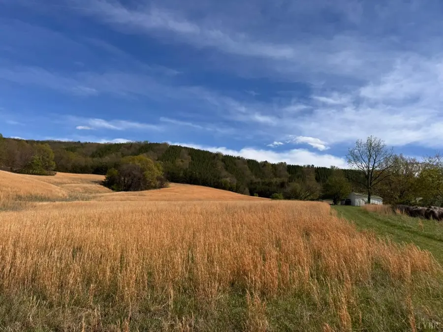 0 Cricket Lane, Rustburg, VA 24588 - #3