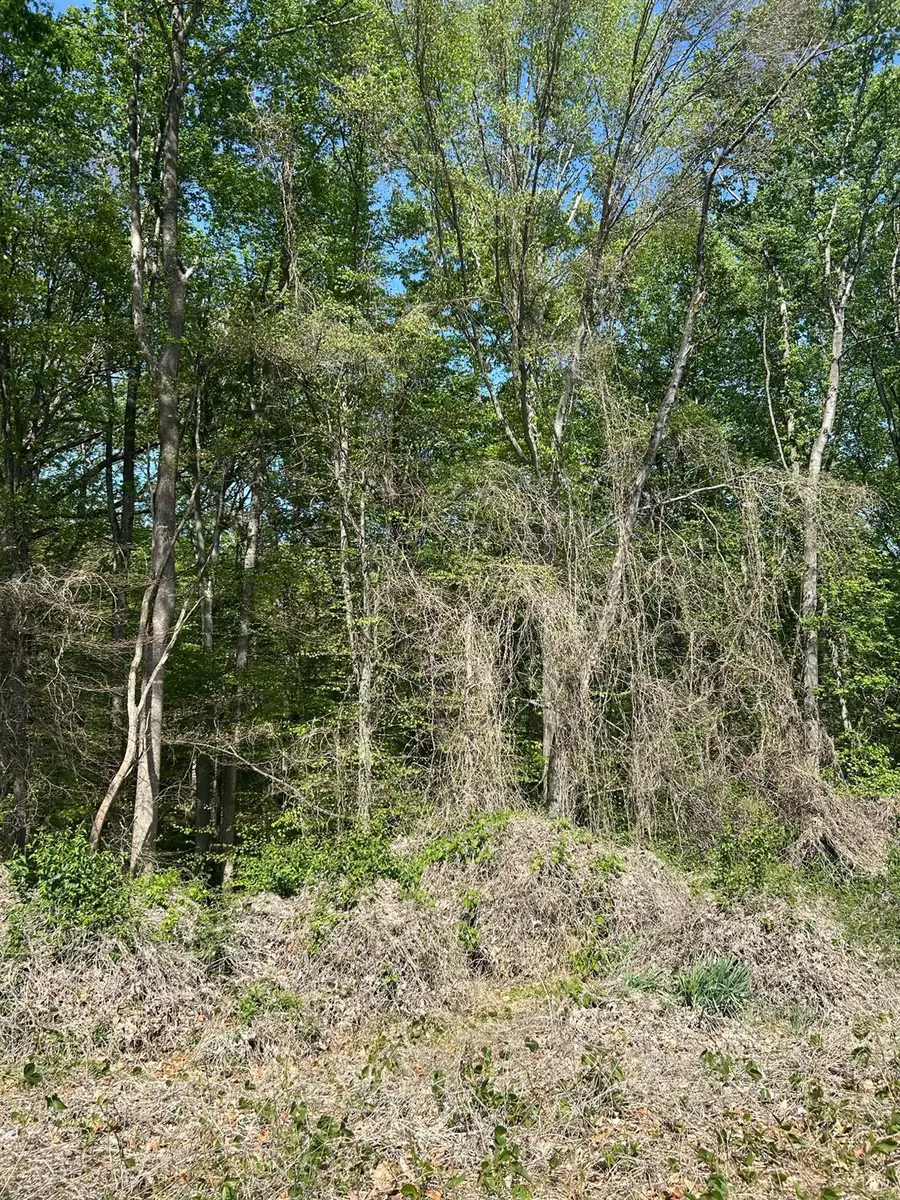 19 Deborah Drive, Lynchburg, VA 24502 - #2