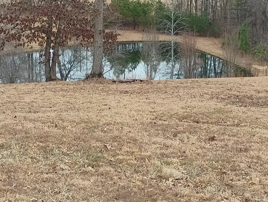 4183 Tye River Road, Amherst, VA 24521 - #3