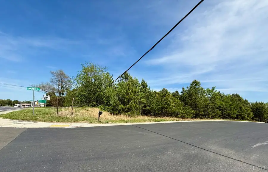 0 Commonwealth Drive, Madison Heights, VA 24572 - #3