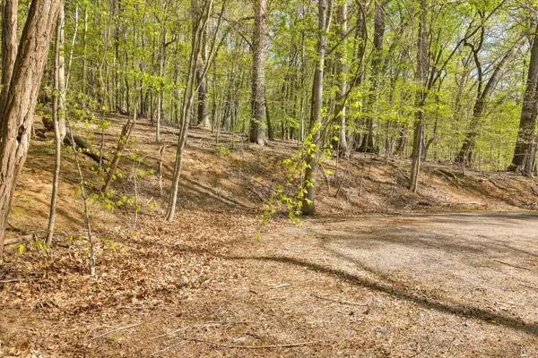 0 Old Barn Road, Moneta, VA 24121