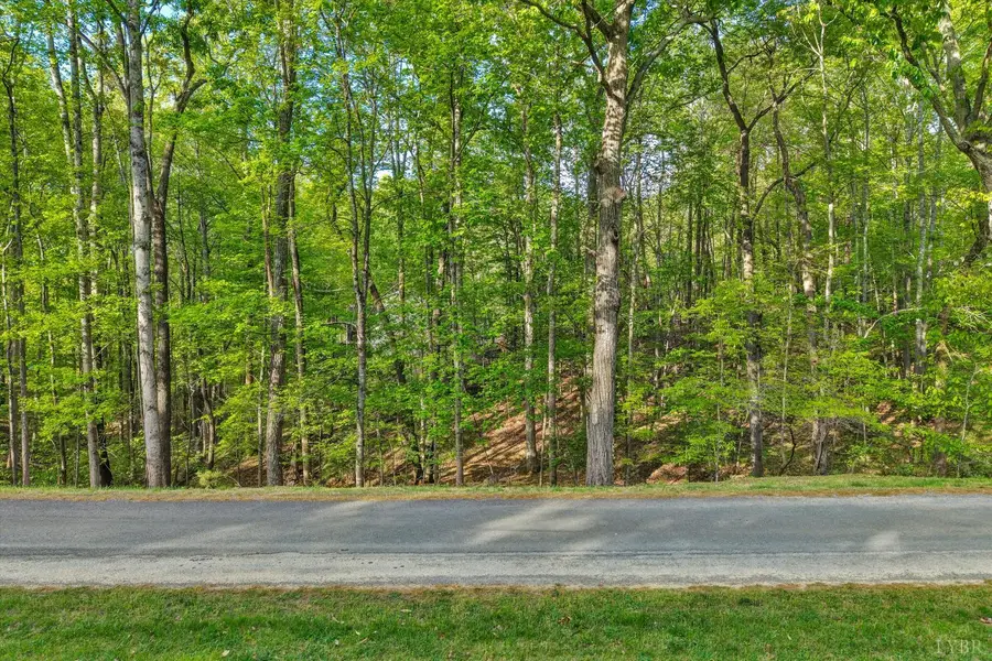 0 Stripers Court, Moneta, VA 24121 - #3