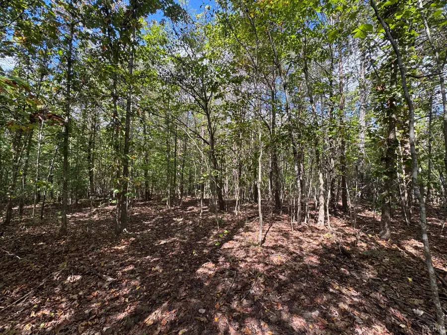 0 Mountain Ridge Lane, Shipman, VA 22971 - #3