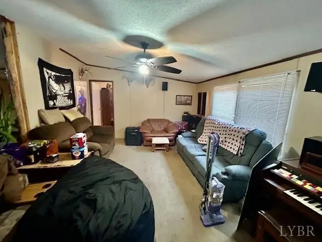 1959 Sweet Hollow Road, Big Island, VA 24526 - #2