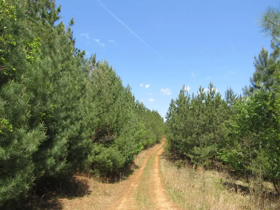 63 Sugar Hill Tunnel Road, Amherst, VA 24521 - #2