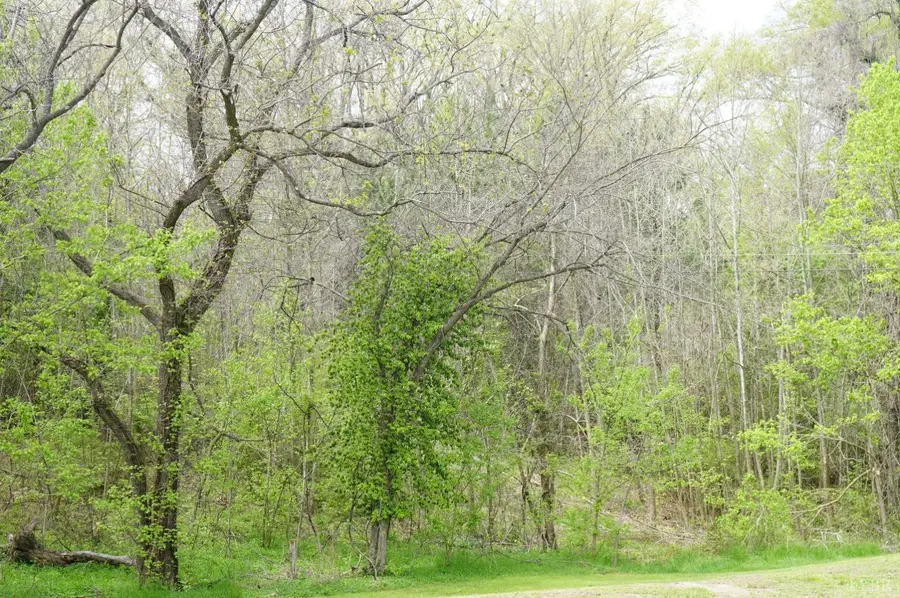 0 Marshall Street, Brookneal, VA 24528 - #3