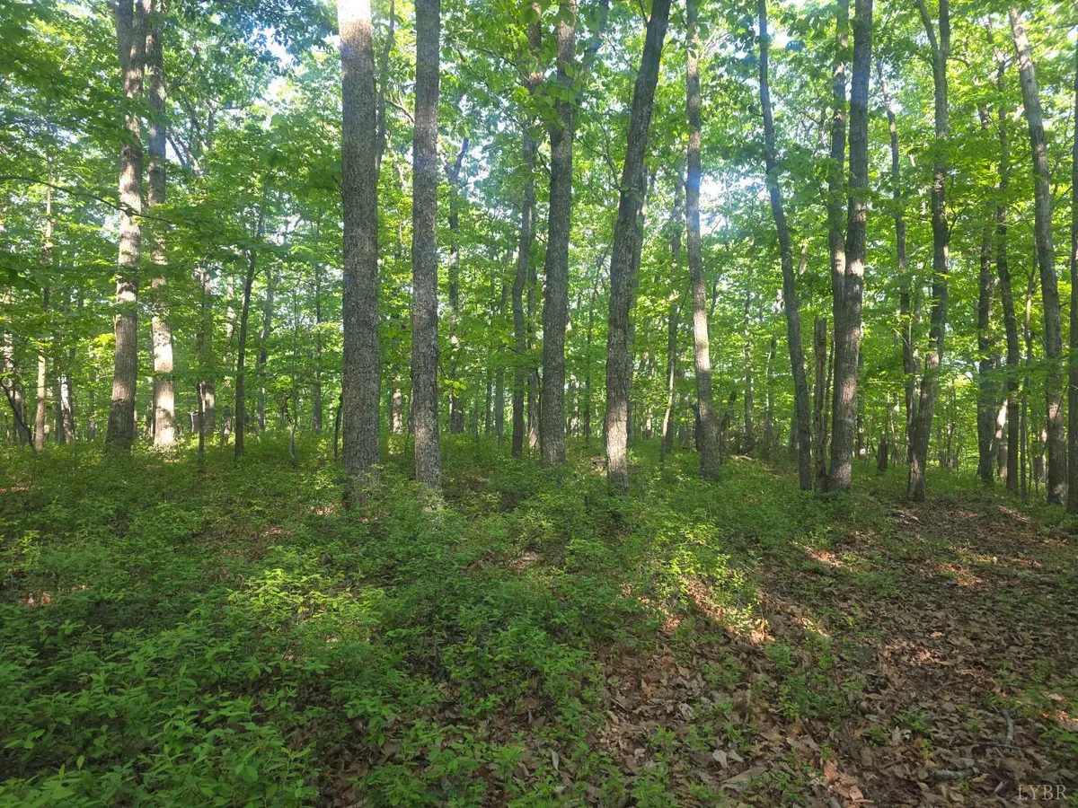 0 Nighthawk Road, Lynchburg, VA 24504 - #1