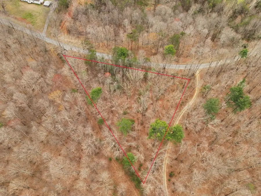 0 Carver Lee Road, Ferrum, VA 24088 - #2