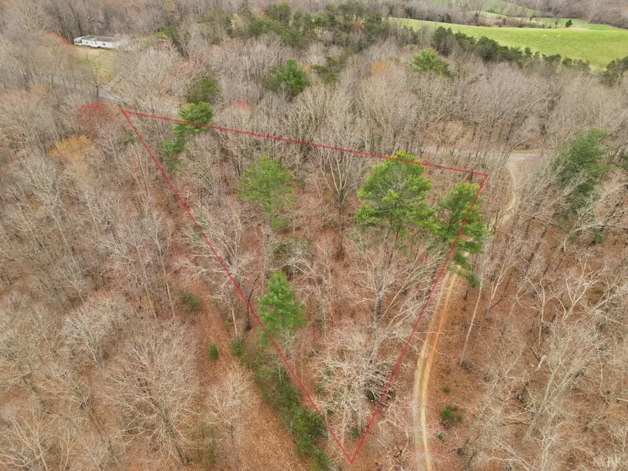 0 Carver Lee Road, Ferrum, VA 24088 - #3