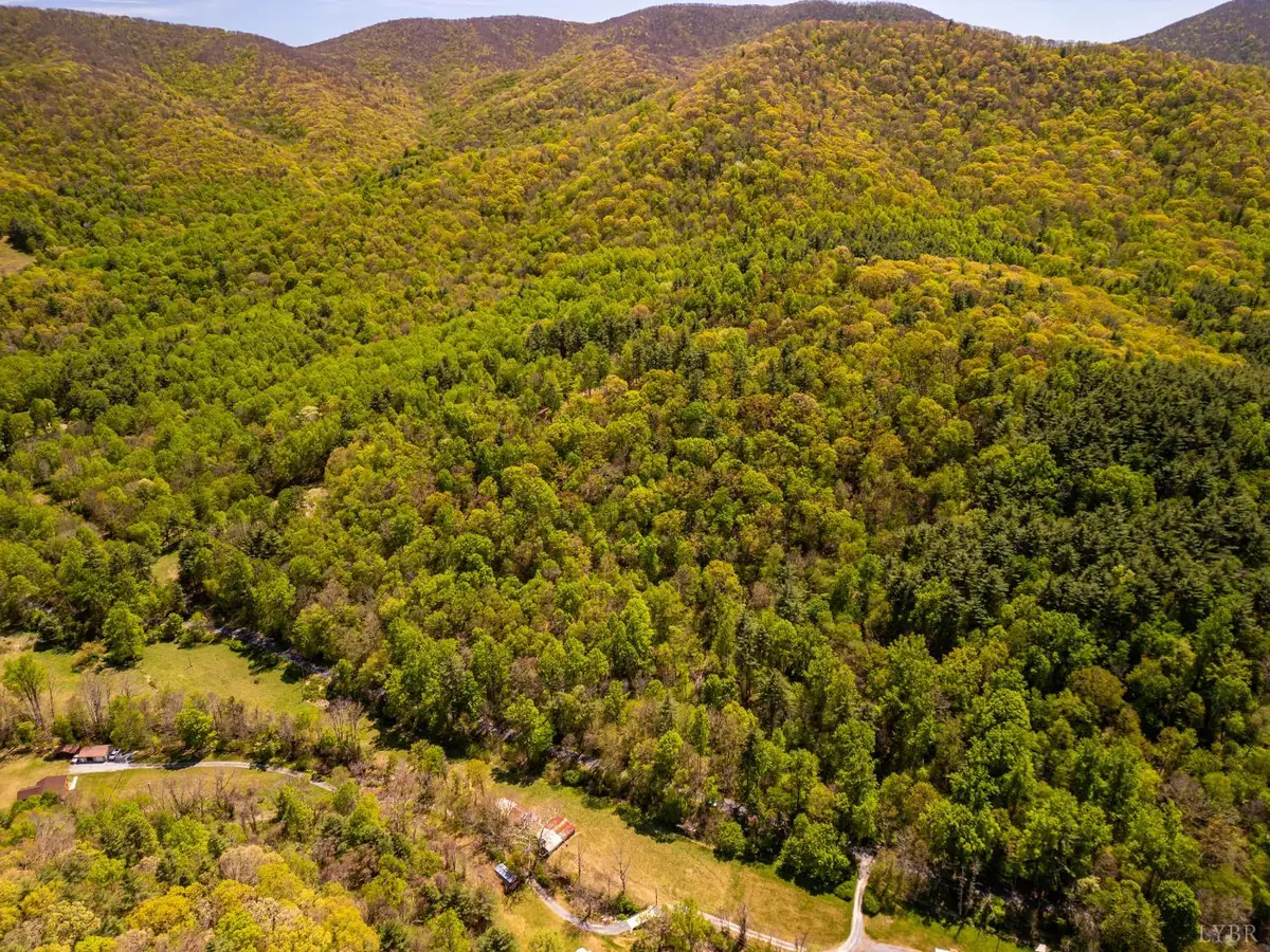 0 Coffeytown Rd., Vesuvius, VA 24483 - #1