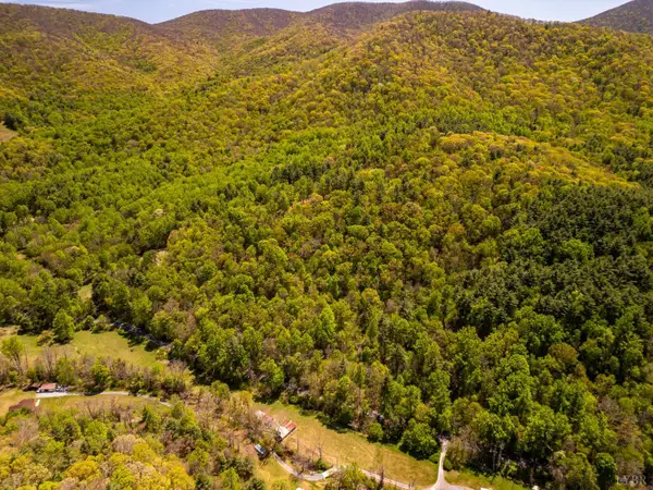 0 Coffeytown Rd., Vesuvius, VA 24483