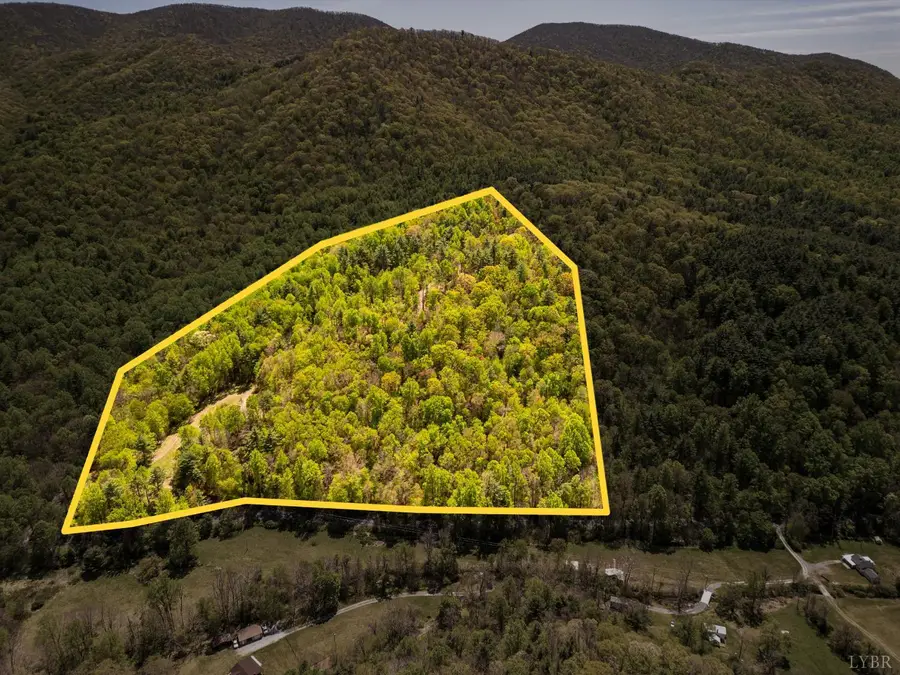 0 Coffeytown Rd., Vesuvius, VA 24483 - #2