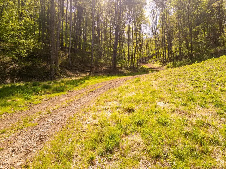 0 Coffeytown Rd., Vesuvius, VA 24483 - #3