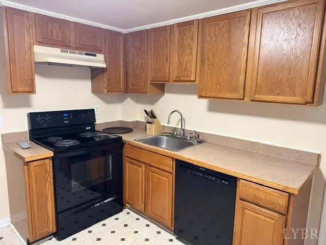 155 Early Drive, Madison Heights, VA 24572 - #3