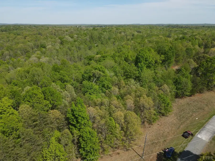 0 Ruth Drive, Madison Heights, VA 24572 - #2