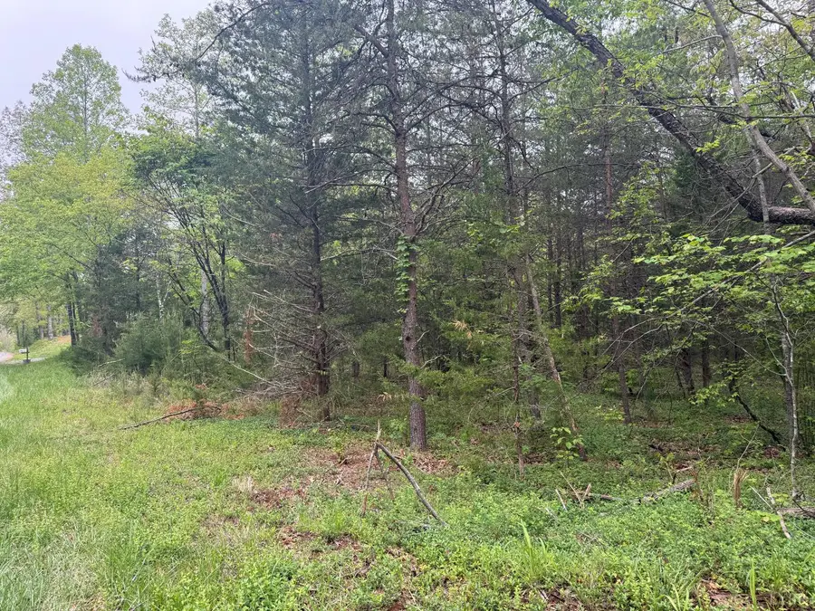 0 Darby Road, Pittsville, VA 24139 - #3
