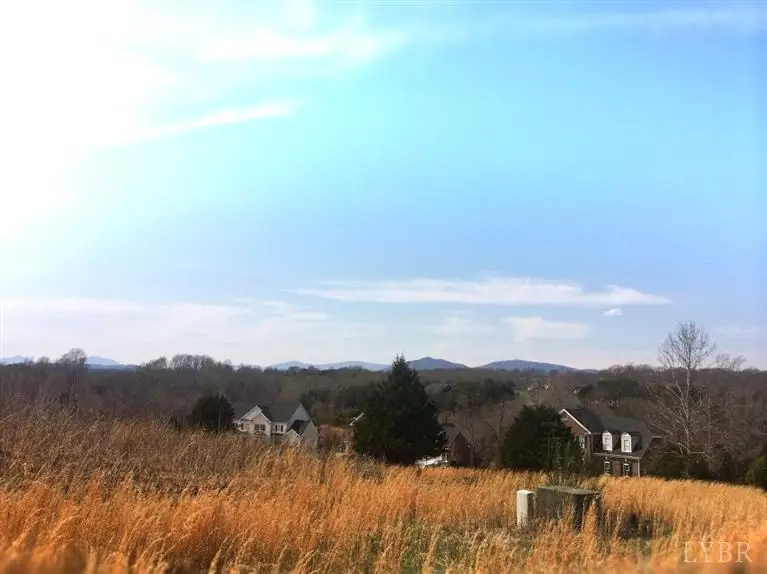 0 Ivy Creek Estates, Forest, VA 24551 - #2