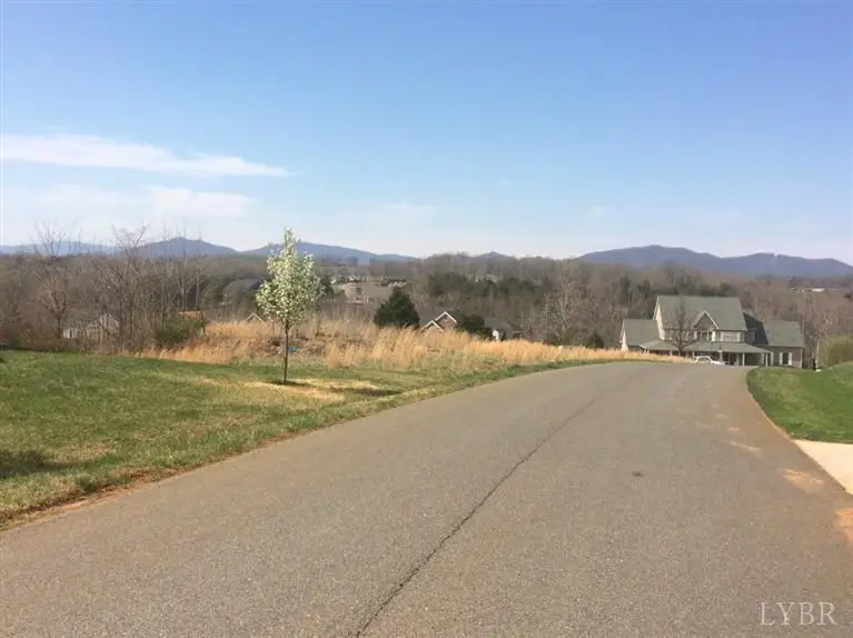 0 Ivy Creek Estates, Forest, VA 24551 - #3