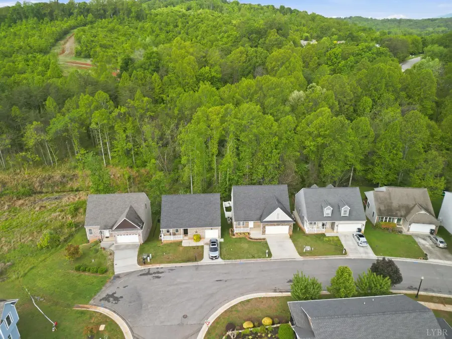 1198 Crest Ridge Drive, Bedford, VA 24523 - #2