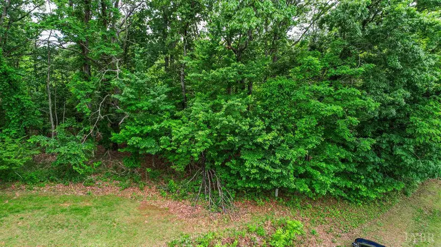 0 S Coolwell Road, Madison Heights, VA 24572 - #3