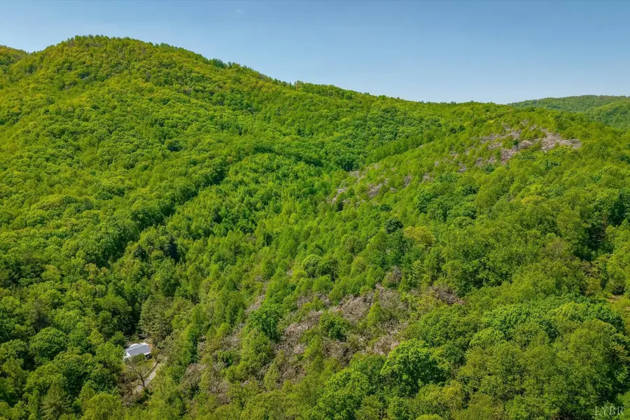 0 Tbd Audrey Lane, Montvale, VA 24122 - #2