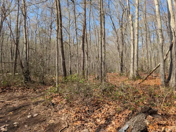 0 Peaceful., Madison Heights, VA 24572
