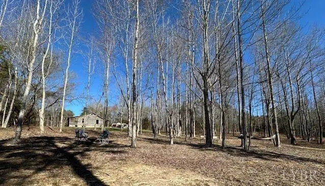 3101 Cody Road, Nathalie, VA 24577 - #2