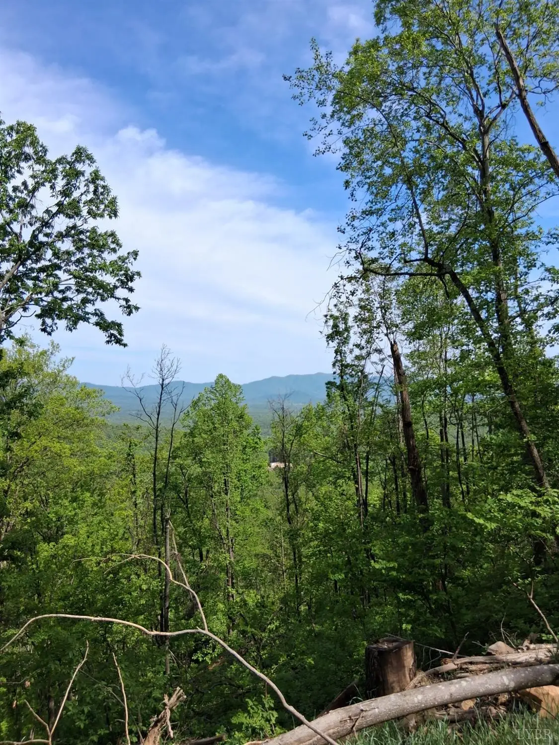 0 Robinson Gap Road, Monroe, VA 24574 - #1