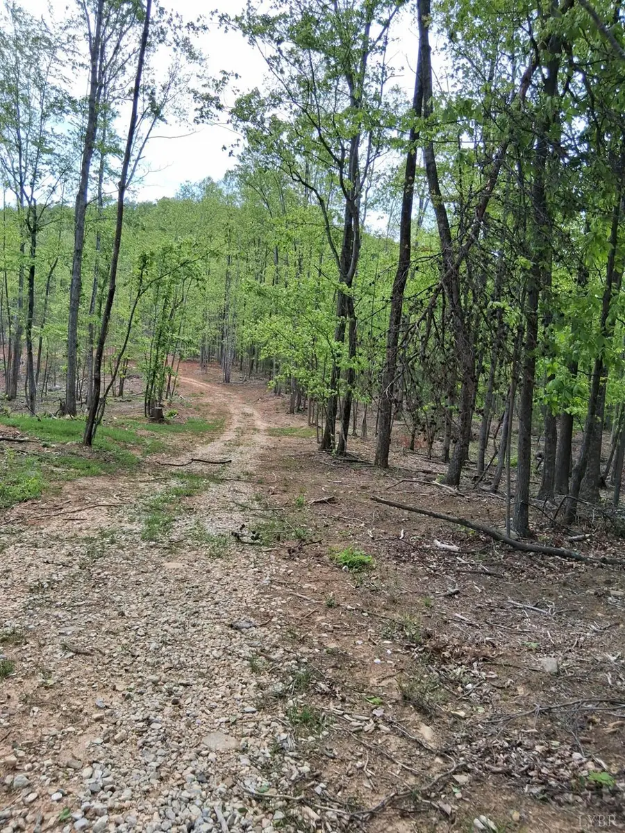 0 Robinson Gap Road, Monroe, VA 24574 - #2
