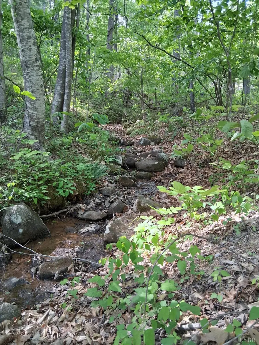 0 Robinson Gap Road, Monroe, VA 24574 - #3