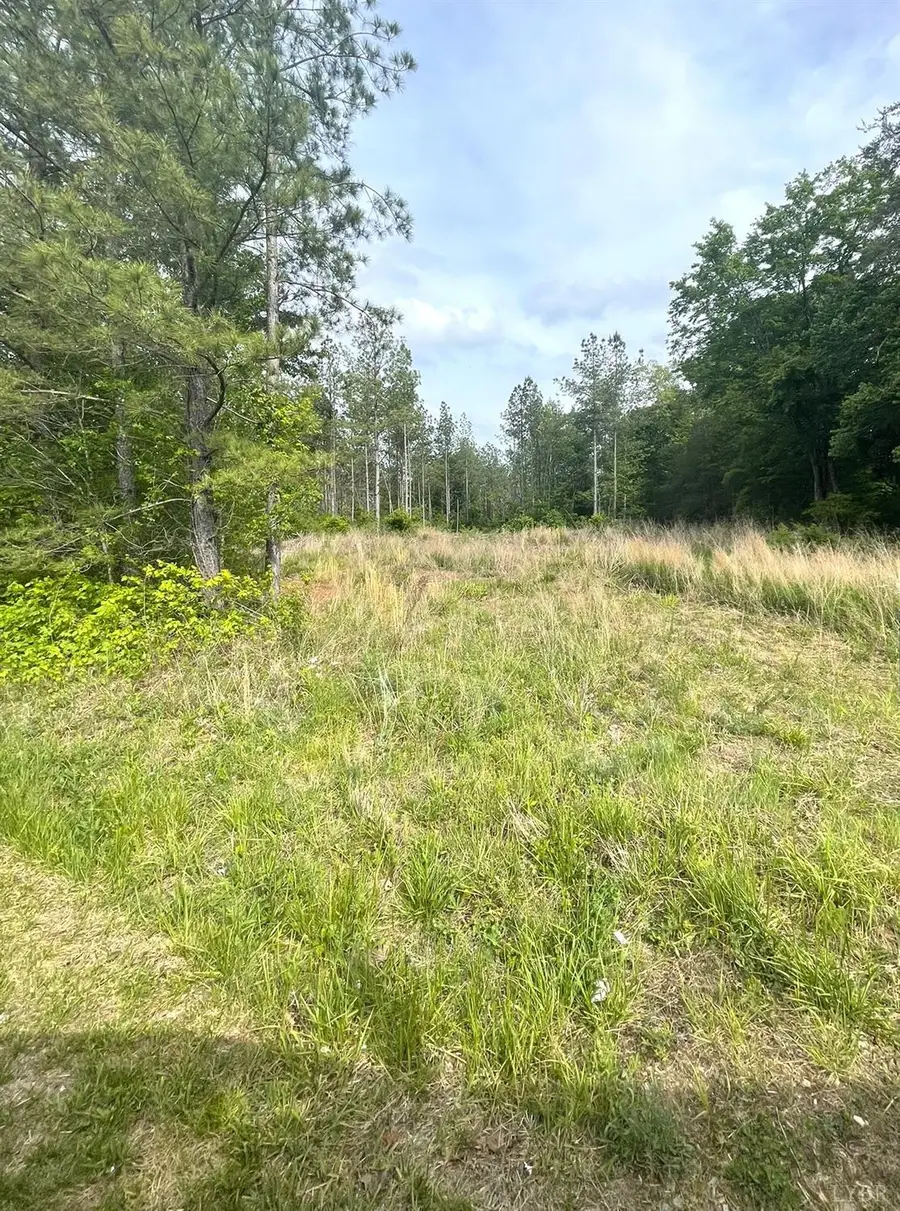 0 Three Creeks Road, Gladys, VA 24554 - #3