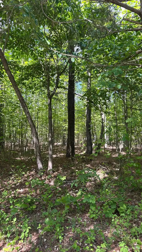 1 Foxfire Lane, Bedford, VA 24523