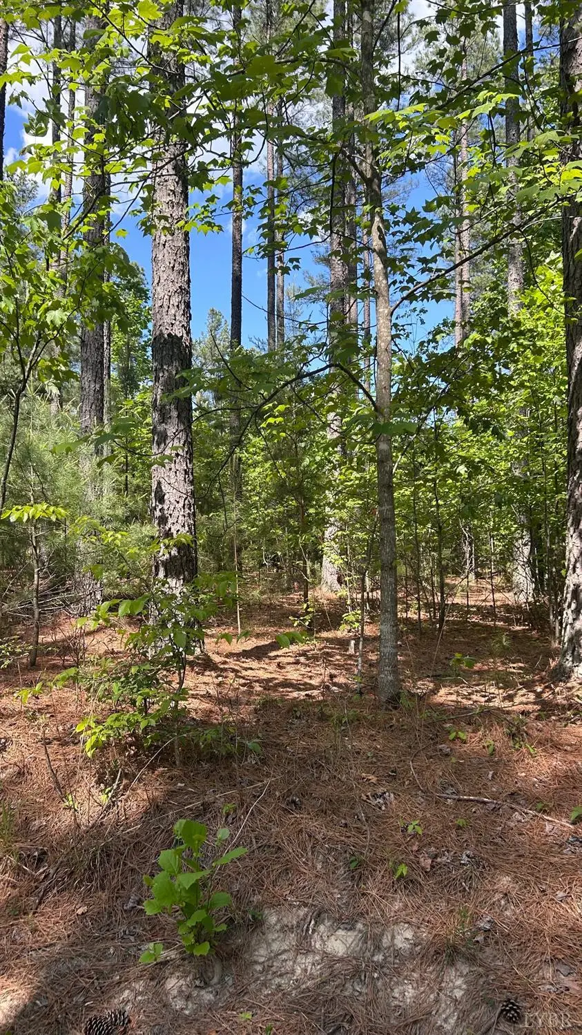 2 Foxfire Lane, Bedford, VA 24523 - #1