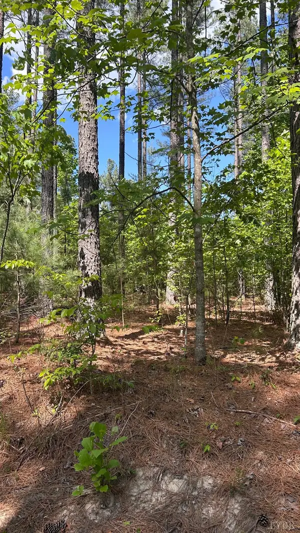 2 Foxfire Lane, Bedford, VA 24523