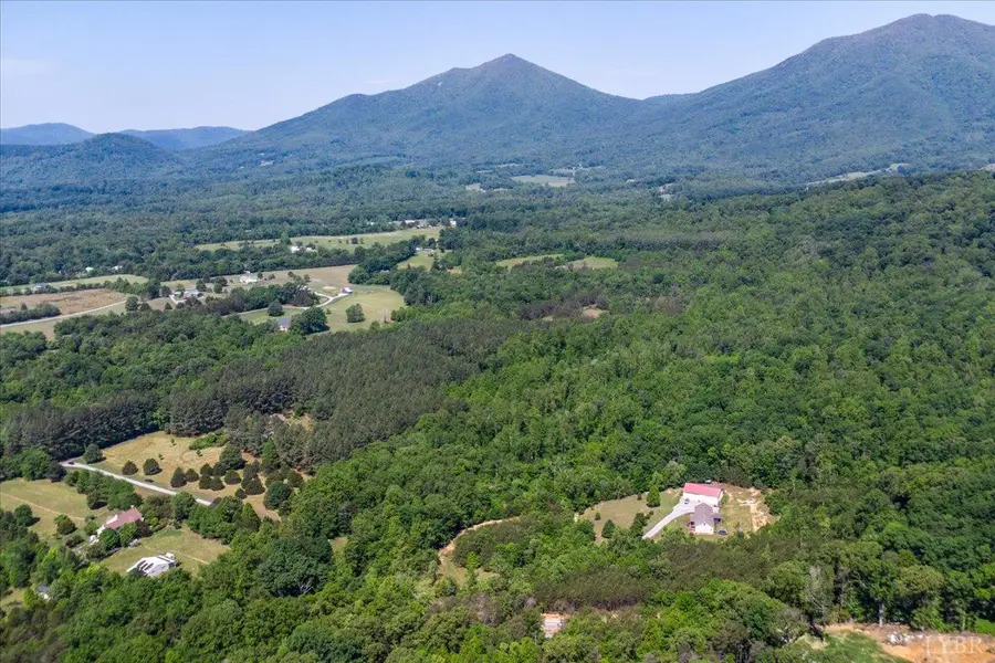 2 Foxfire Lane, Bedford, VA 24523 - #2