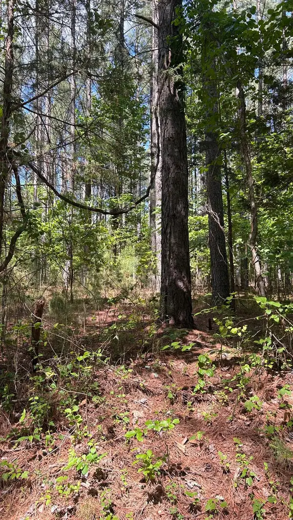 3 Foxfire Lane, Bedford, VA 24523