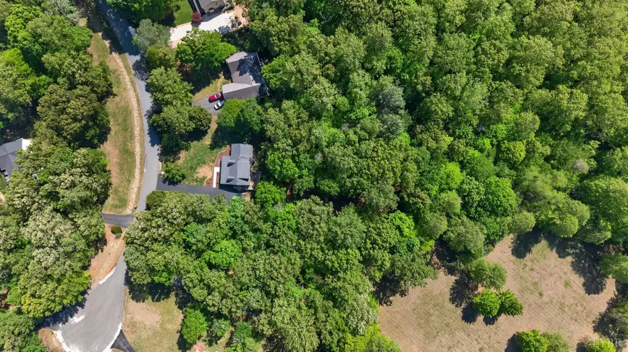 261 Blue Ridge Ln., Amherst, VA 24521 - #2