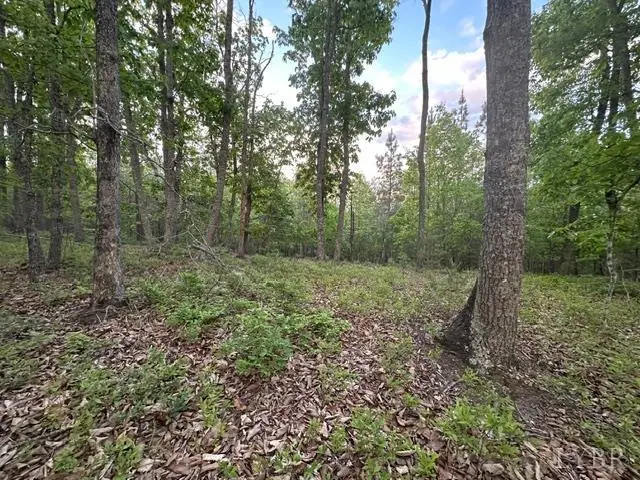 0 Kingswood Lane, Lynchburg, VA 24504 - #3