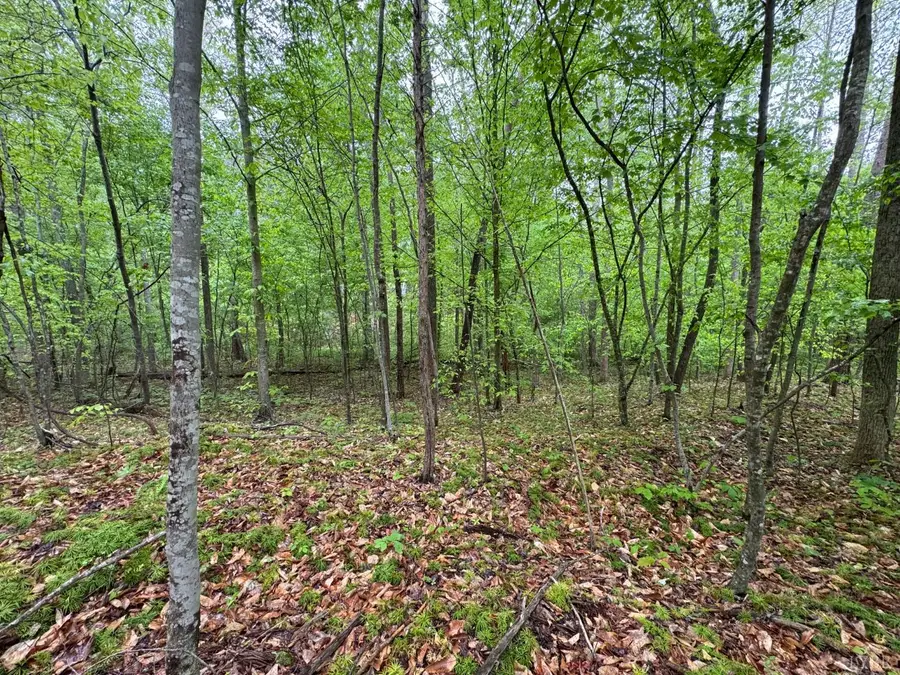 0 James River Road, Appomattox, VA 24522 - #2
