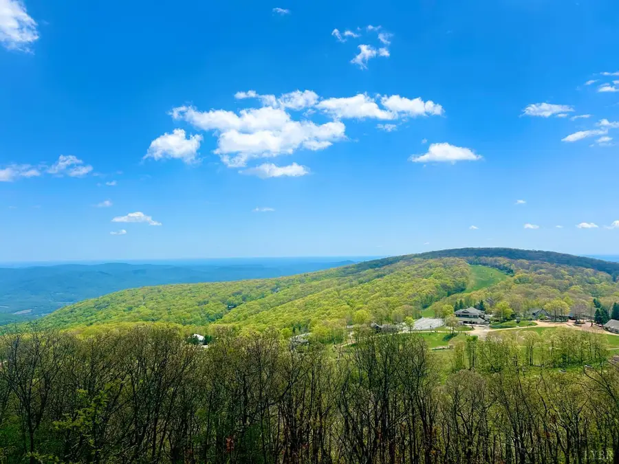 2213 Tanners Ridge, Wintergreen, VA 22967 - #3