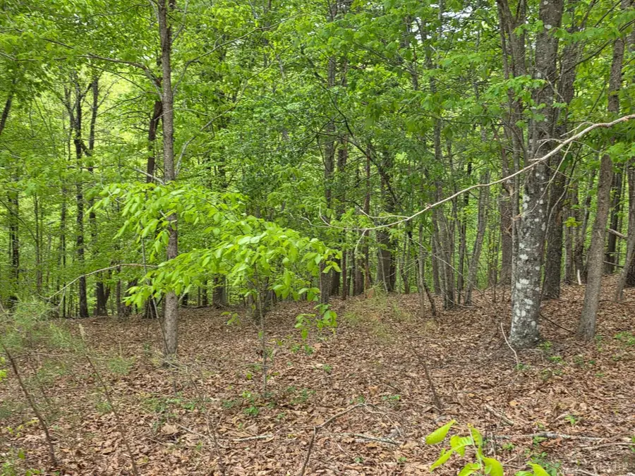 0 Lot 25 Garrison Ridge, Pittsville, VA 24139 - #3