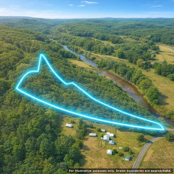 0 Chellis Ford Road, Lynch Station, VA 24571
