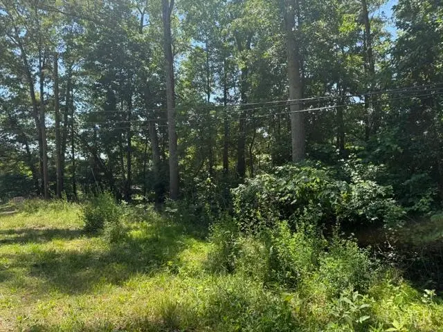 2878 Kentucky Ave, Phenix, VA 23959 - #2