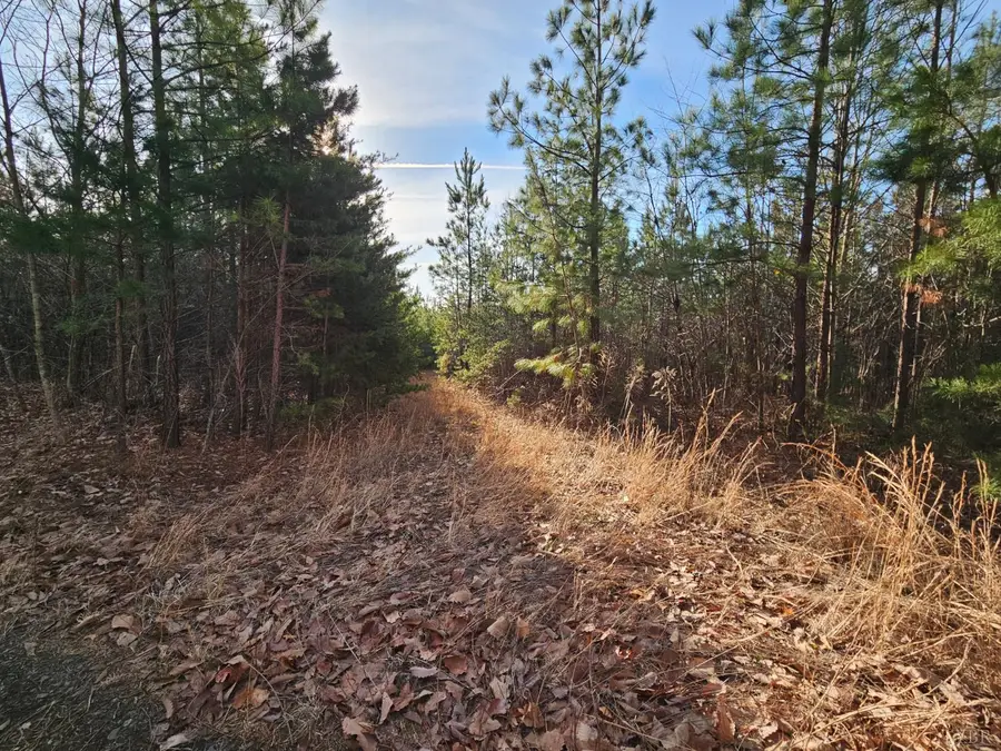 0 Pleasant Mountain Drive, Rustburg, VA 24588 - #3