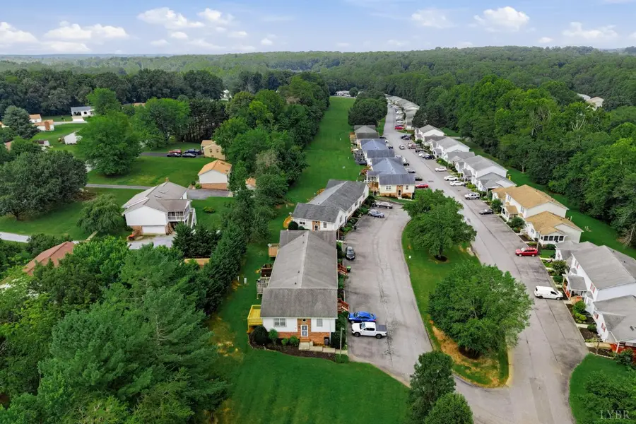 801 Goose Meadow Drive, Forest, VA 24551 - #2