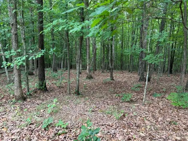 2 Red Bird Drive, Gladstone, VA 24553 - #1