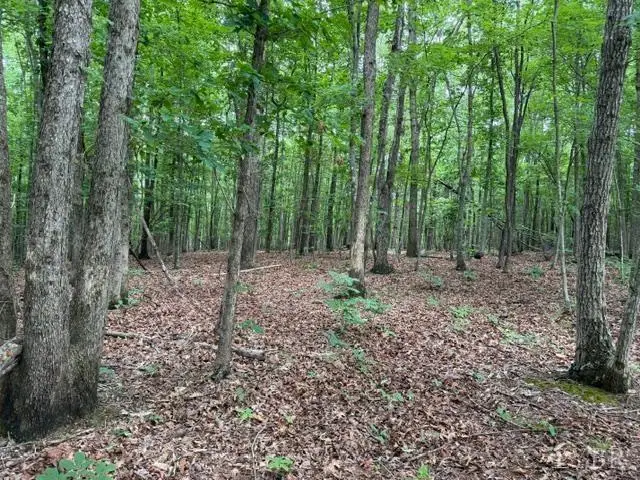 3 Red Bird Drive, Gladstone, VA 24553 - #2