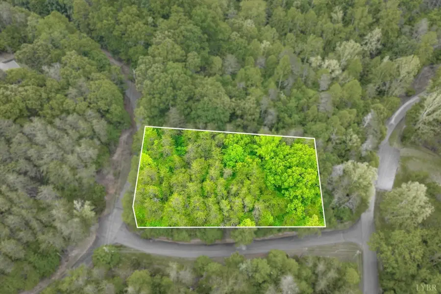 60 Old Barn Road, Moneta, VA 24121 - #2