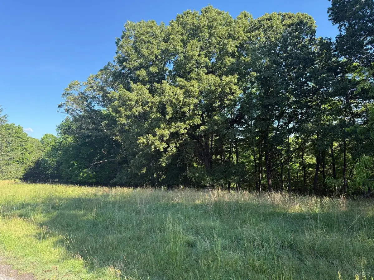 0 Wingfield Dr, Goode, VA 24556 - #1