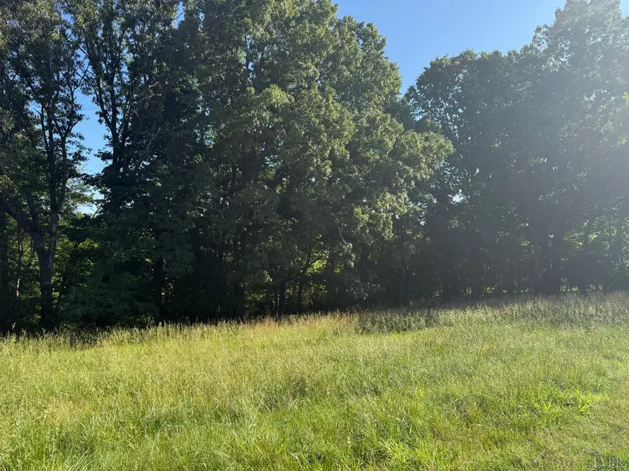 0 Wingfield Dr, Goode, VA 24556 - #3
